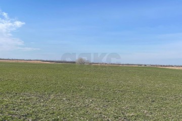 Фото №5: Коммерческая земля 10000 сот. - Тимашевск, мкр. Молодёжный жилой комплекс, ул. Западная, 12