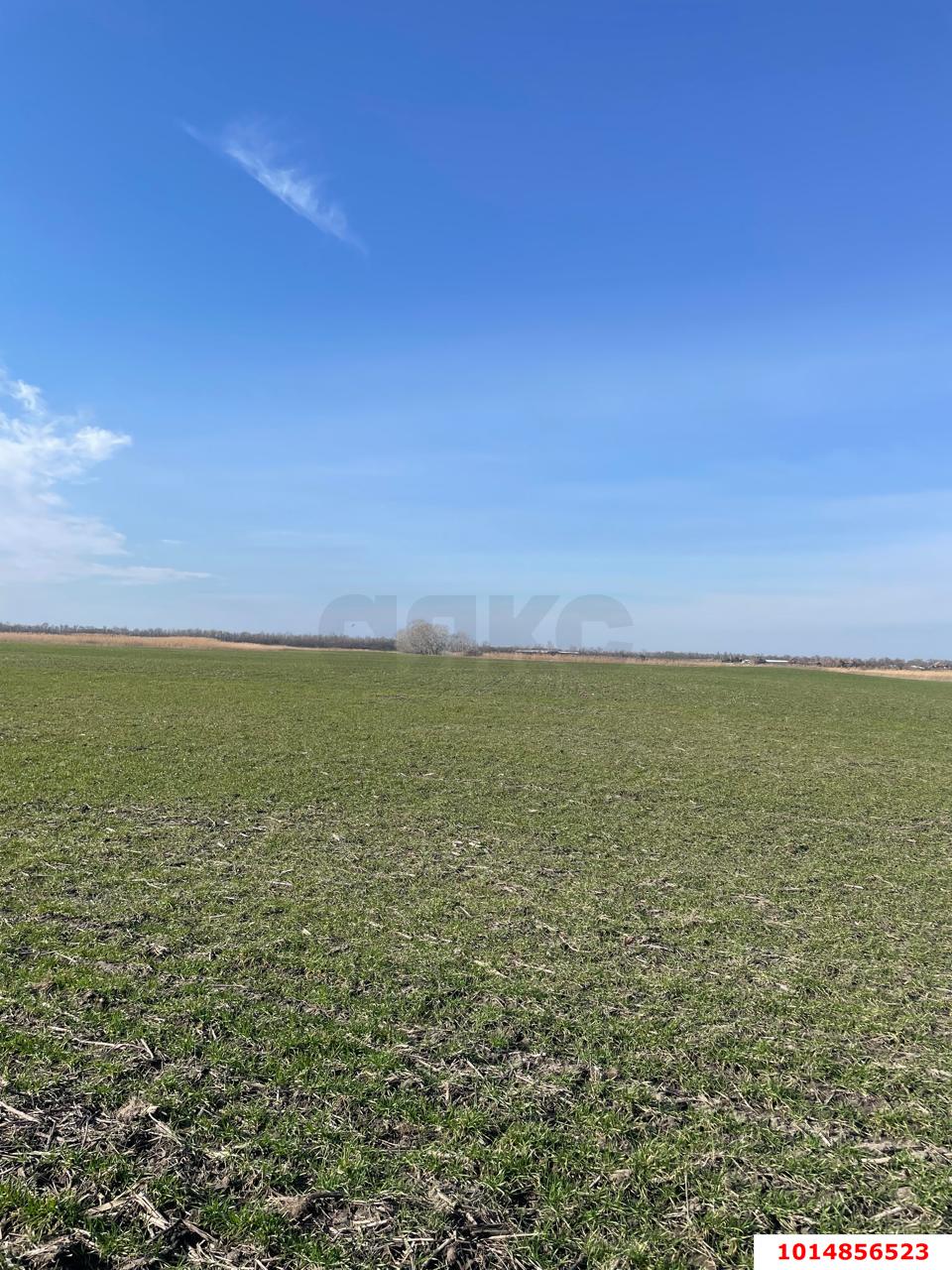 Фото №5: Коммерческая земля 10000 сот. - Тимашевск, Молодёжный жилой комплекс, ул. Западная, 12