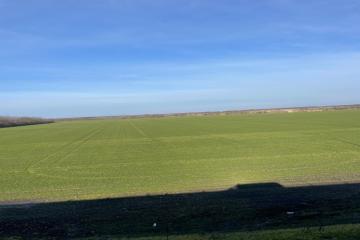 Фото №4: Коммерция 10000 м² - Тимашевск, мкр. Молодёжный жилой комплекс, ул. Западная, 12