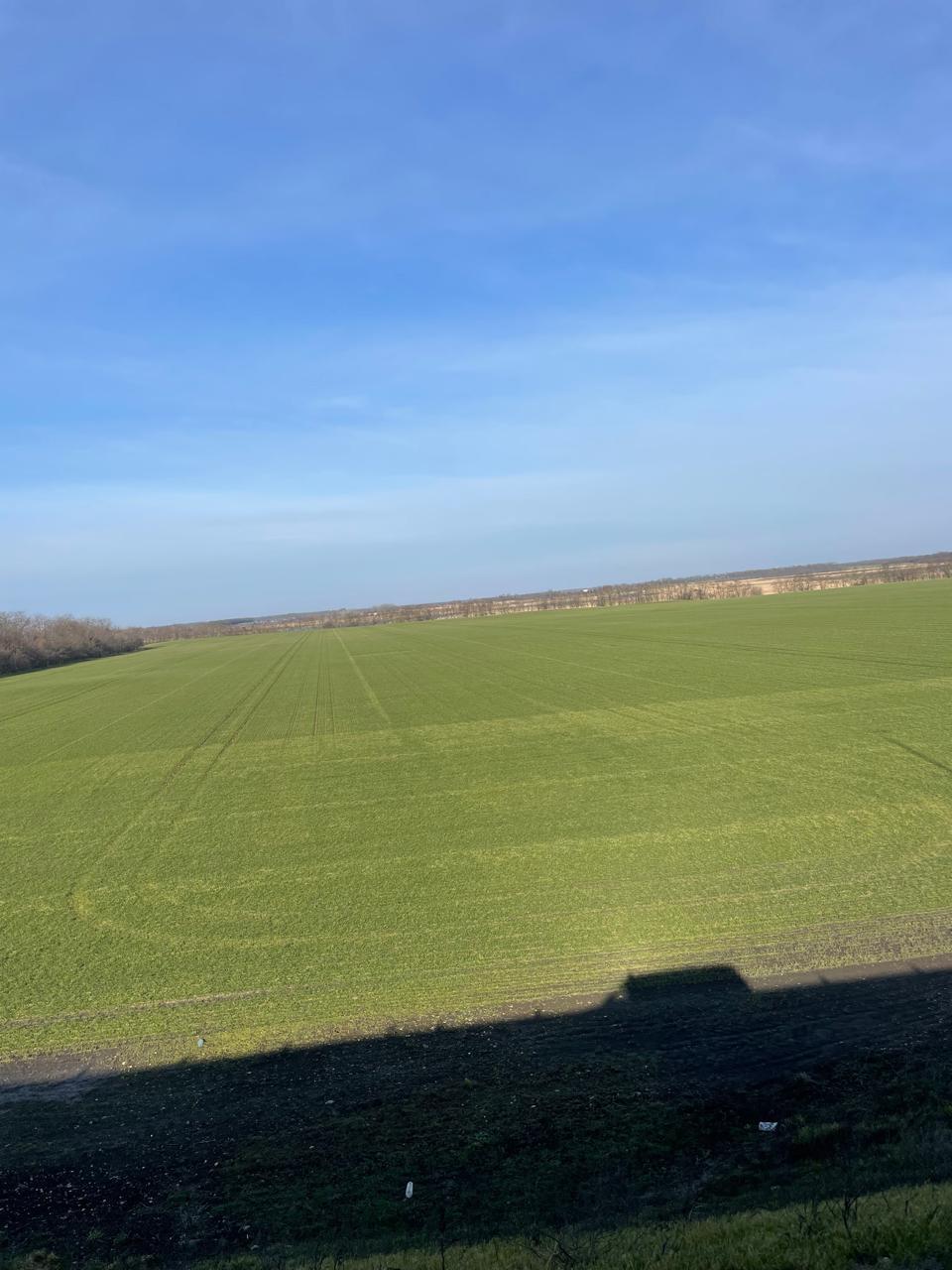 Фото №4: Коммерция 10000 м² - Тимашевск, мкр. Молодёжный жилой комплекс, ул. Западная, 12