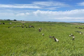 Фото №2: Коммерческая земля 10000 сот. - Тимашевск, мкр. Молодёжный жилой комплекс, ул. Западная, 12