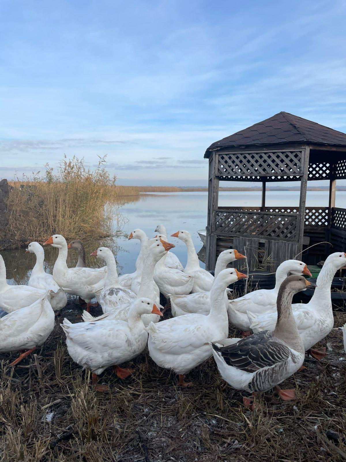 Фото №7: Коммерция 10000 м² - Тимашевск, мкр. Молодёжный жилой комплекс, ул. Западная, 12