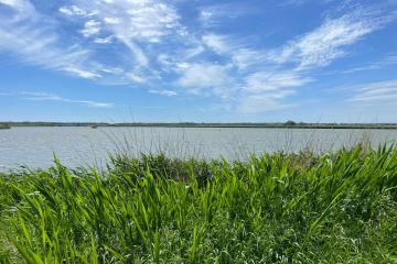 Фото №1: Коммерция 10000 м² - Тимашевск, мкр. Молодёжный жилой комплекс, ул. Западная, 12