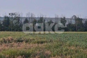 Фото №2: Личное подсобное хозяйство - Отрадная, ул. Широкая, 12В/1