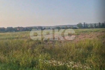 Фото №3: Личное подсобное хозяйство - Отрадная, ул. Широкая, 12В/1