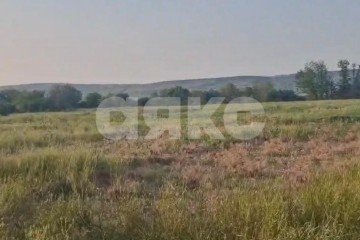 Фото №1: Личное подсобное хозяйство - Отрадная, ул. Широкая, 12В/1