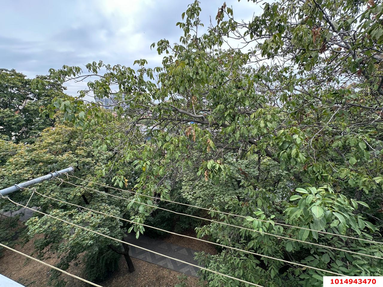 Фото №17: 2-комнатная квартира 47 м² - Краснодар, Хлопчато-бумажный Комбинат, ул. Новороссийская, 180