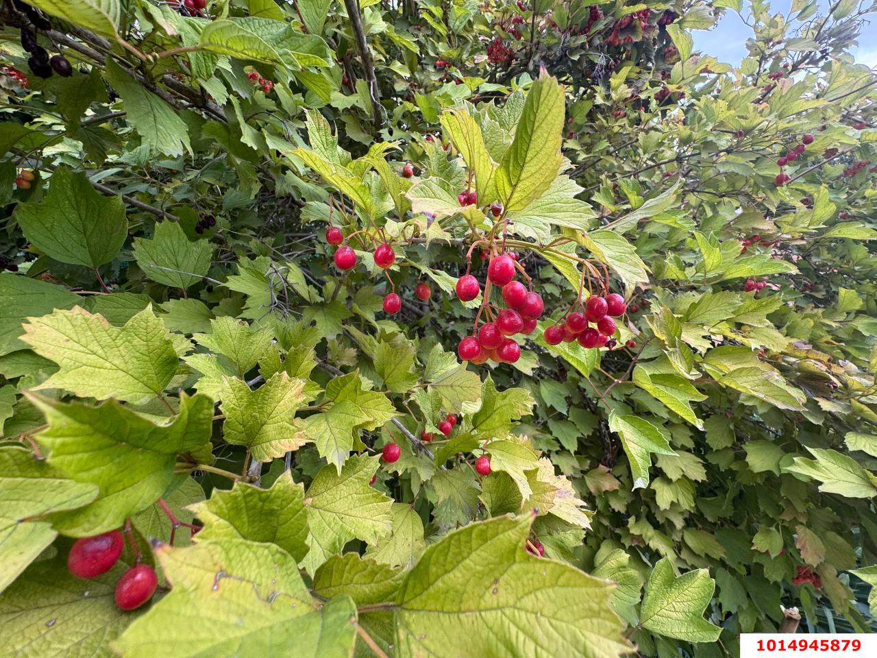 Фото №4: Дом 77 м² + 4 сот. - Политехник, Прикубанский внутригородской округ, ул. Кубанская, 490