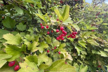 Фото №4: Дом 77 м² - Политехник, мкр. Прикубанский внутригородской округ, ул. Кубанская, 490