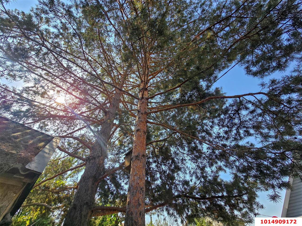 Фото №12: Дом 54 м² + 6.13 сот. - Лотос, Прикубанский внутригородской округ