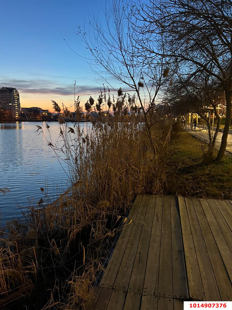 Фото №19: Студия 101 м² - Краснодар, Центральный, ул. Новокузнечная, 200