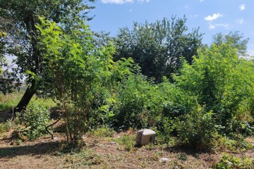 Фото №1: Земельный участок под ИЖС 11 сот. - Новотитаровская, ул. Революционная, 69/1