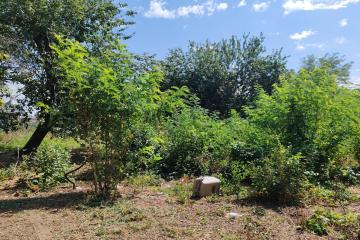 Фото №1: Дом 41 м² - Новотитаровская, ул. Революционная, 69/1