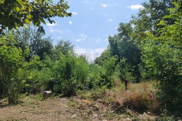 Фото №3: Дом 41 м² - Новотитаровская, ул. Революционная, 69/1