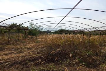 Фото №4: Земельный участок 10 сот. - Марьянская, ул. Северная, 72