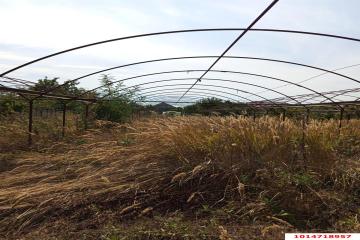 Фото №4: Земельный участок 10 сот. - Марьянская, ул. Северная, 72