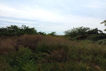 Фото №5: Земельный участок 10 сот. - Марьянская, ул. Северная, 72