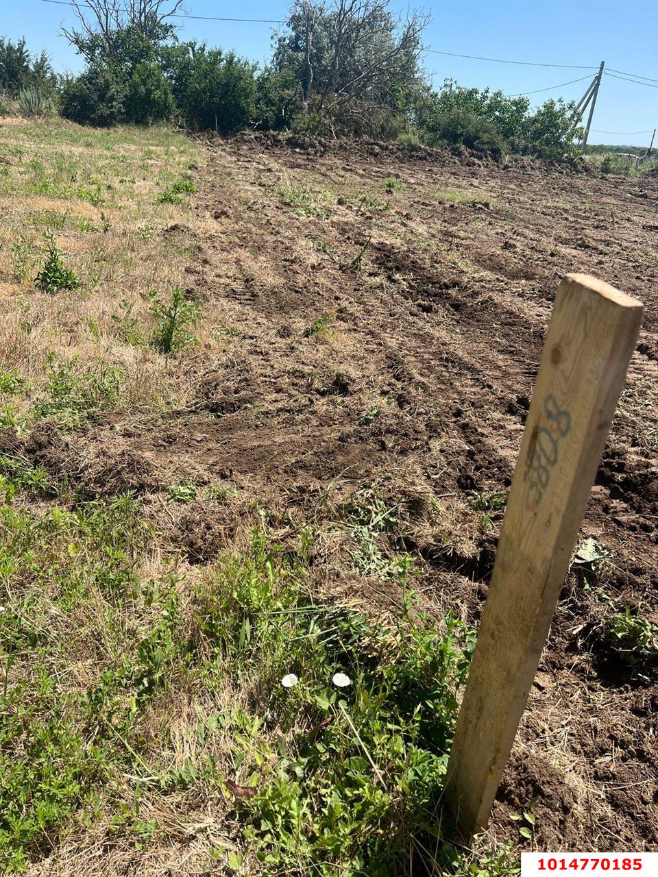 Фото №5: Земельный участок 5 сот. - Кучугуры, ул. Ленина, 39А