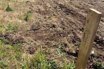 Фото №5: Земельный участок под ИЖС 5 сот. - Кучугуры, ул. Ленина, 39А