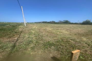 Фото №2: Земельный участок 5 сот. - Кучугуры, ул. Ленина, 39А