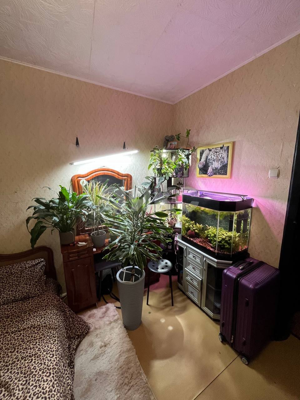 Фото №3: 3-комнатная квартира 59 м² - Симферополь, Киевский, ул. Лермонтова, 14