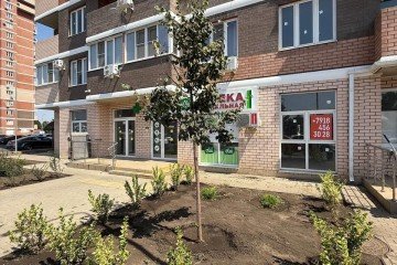 Фото №3: Торговое помещение 62 м² - Краснодар, мкр. ЖК Акварели-2, ул. Тепличная, 62/1к3