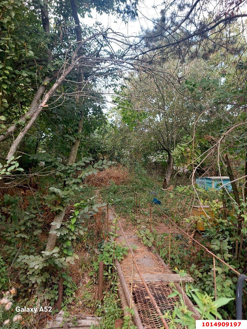 Фото №6: Дом 63 м² + 7 сот. - Черноморский, ул. Гагарина