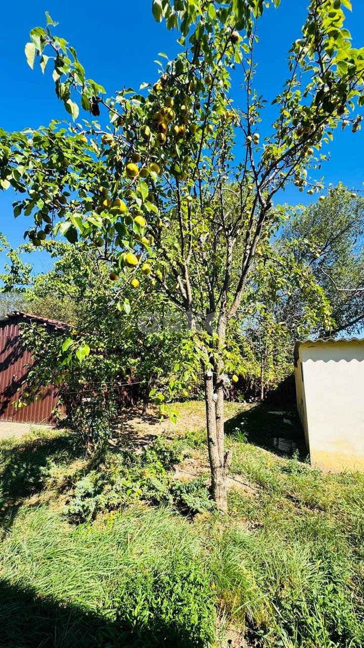 Фото №7: Часть дома 130 м² + 8.38 сот. - Кореновск, 1-й квартал, ул. Фрунзе, 169А