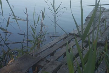 Фото №4: Дом 63 м² - Пролетарский, ул. Огородняя, 15