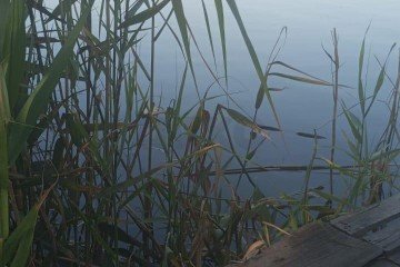 Фото №5: Дом 63 м² - Пролетарский, ул. Огородняя, 15