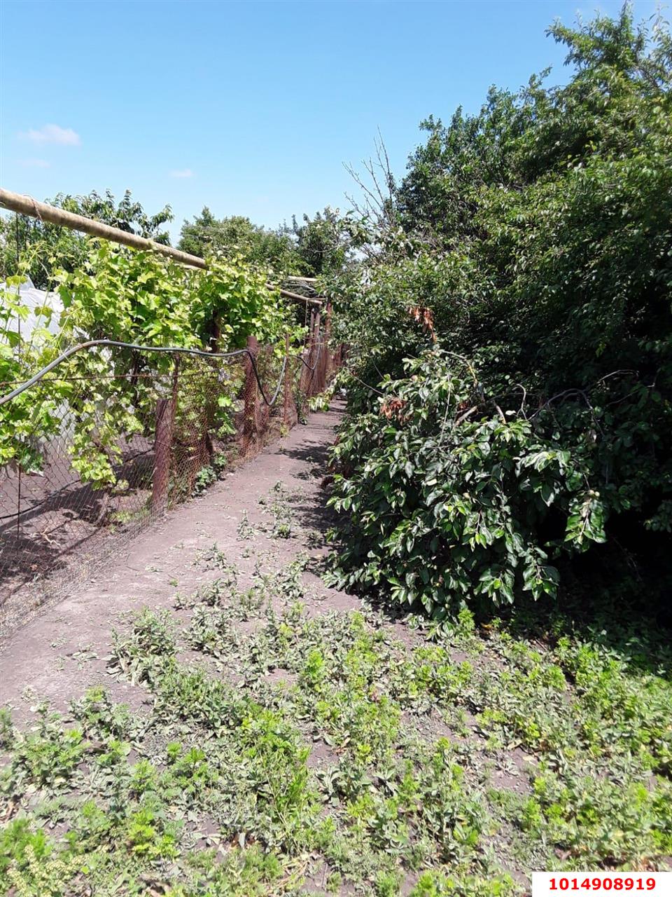 Фото №10: Дом 82 м² + 8 сот. - Ханьков, ул. Западная, 11