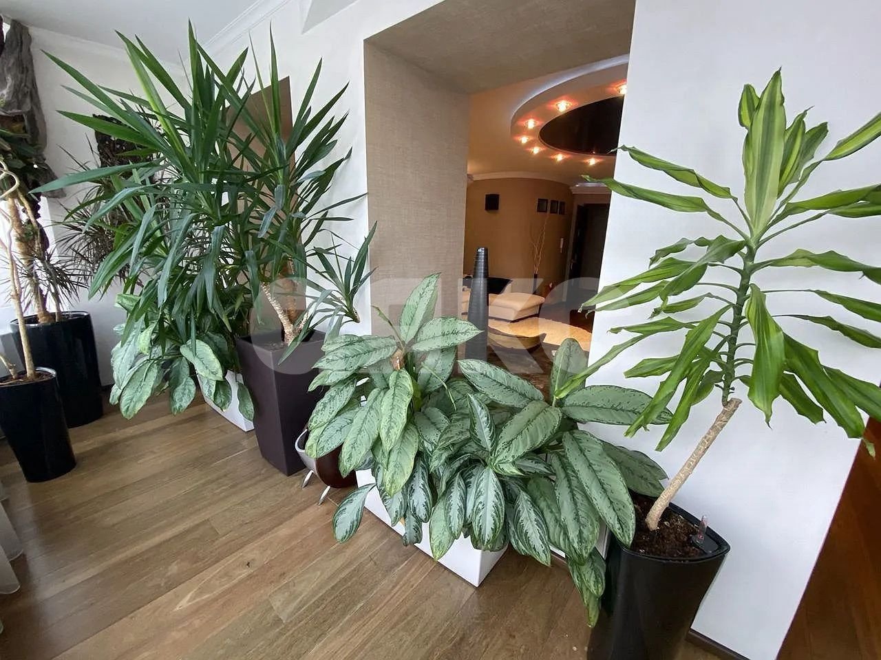 Фото №6: 5+-комнатная квартира 240 м² - Ростов-на-Дону, Богатяновка, ул. Социалистическая, 140