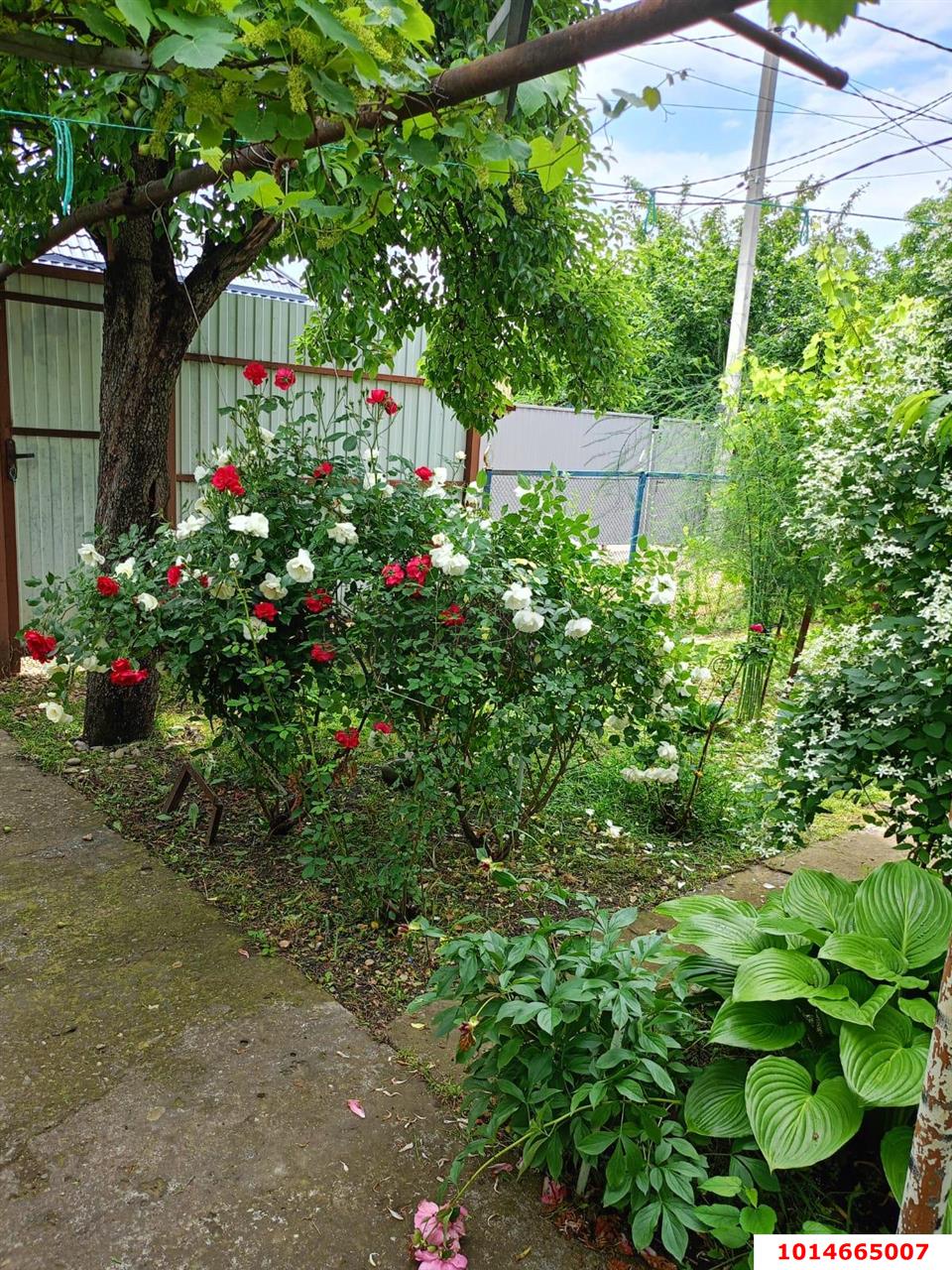 Фото №12: Дом 56 м² + 6 сот. - Связист, мкр. Прикубанский внутригородской округ, ул. Калинина, 33