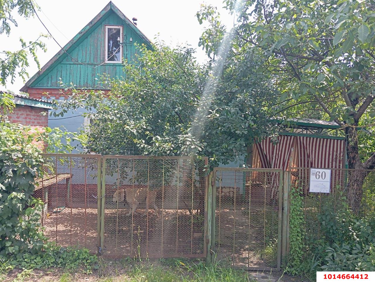 Фото №3: Дом 31 м² + 5 сот. - Урожайное, Карасунский внутригородской округ, ул. Виноградная