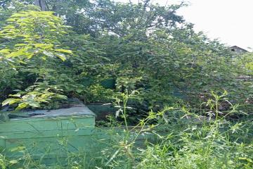 Фото №3: Дом 31 м² - Урожайное, мкр. Карасунский внутригородской округ, ул. Виноградная