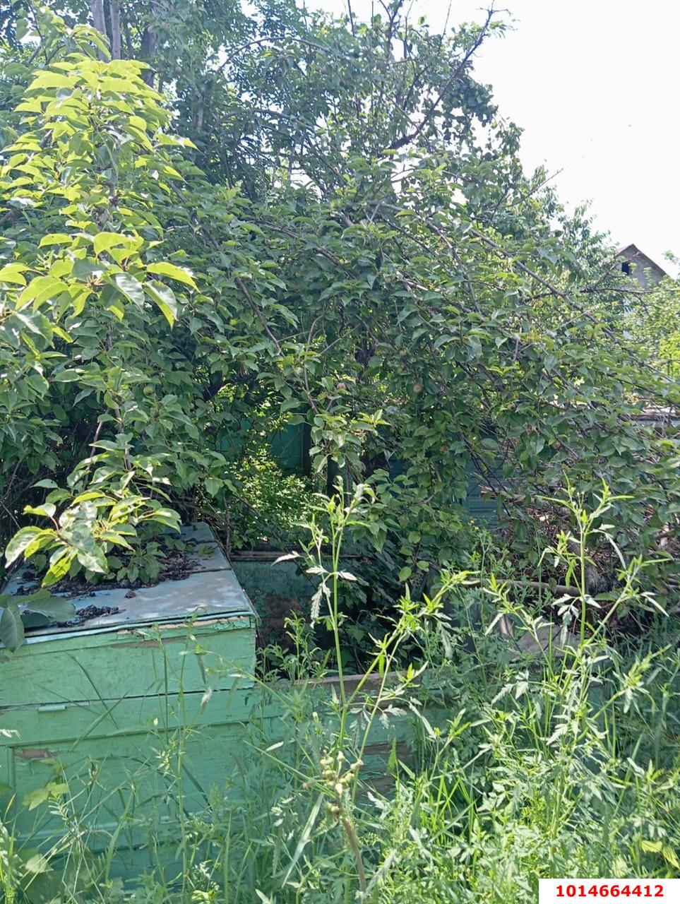 Фото №3: Дом 31 м² + 5 сот. - Урожайное, мкр. Карасунский внутригородской округ, ул. Виноградная