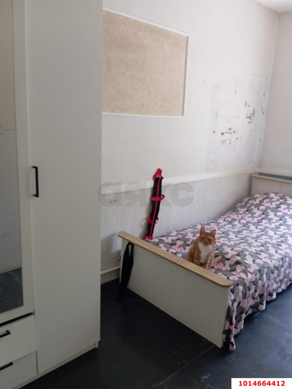 Фото №7: Дом 31 м² + 5 сот. - Урожайное, мкр. Карасунский внутригородской округ, ул. Виноградная