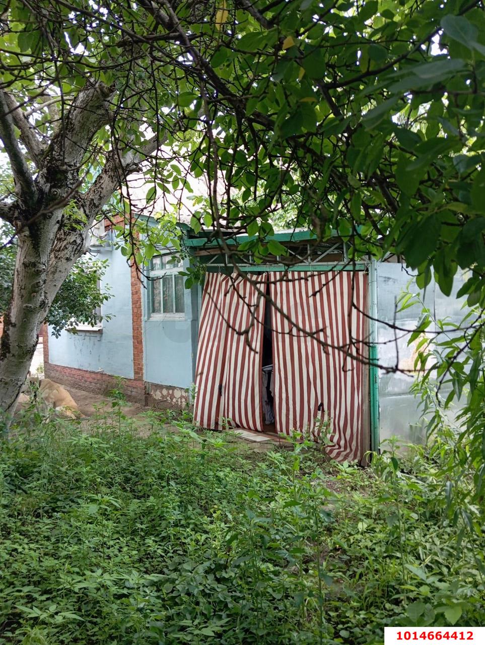 Фото №6: Дом 31 м² + 5 сот. - Урожайное, Карасунский внутригородской округ, ул. Виноградная