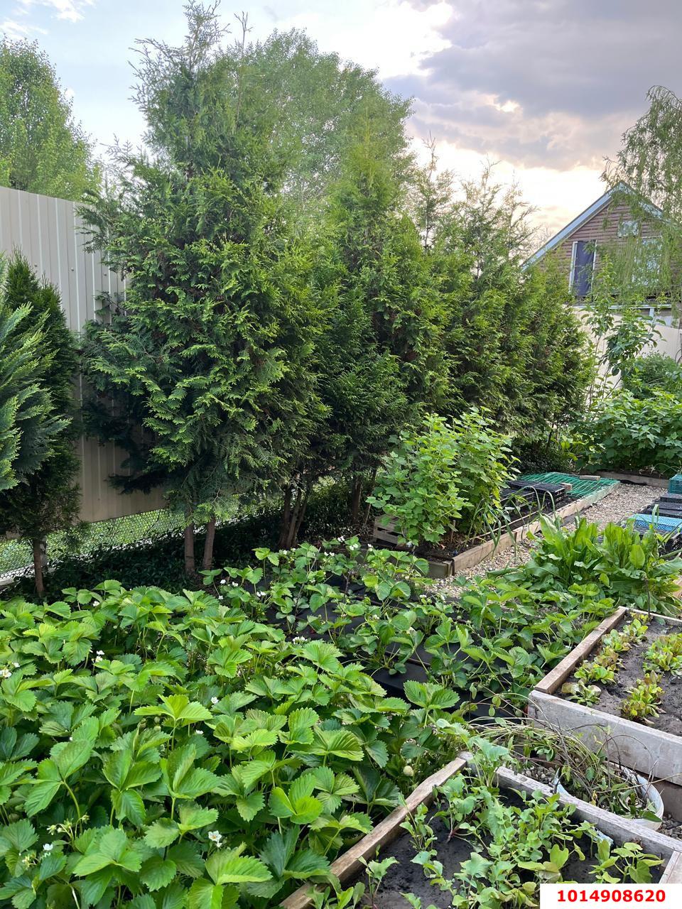 Фото №17: Дом 147 м² + 6 сот. - Знаменский, Карасунский внутригородской округ, ул. Платиновая, 31