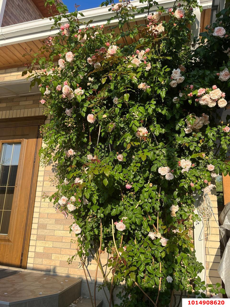 Фото №12: Дом 147 м² + 6 сот. - Знаменский, Карасунский внутригородской округ, ул. Платиновая, 31