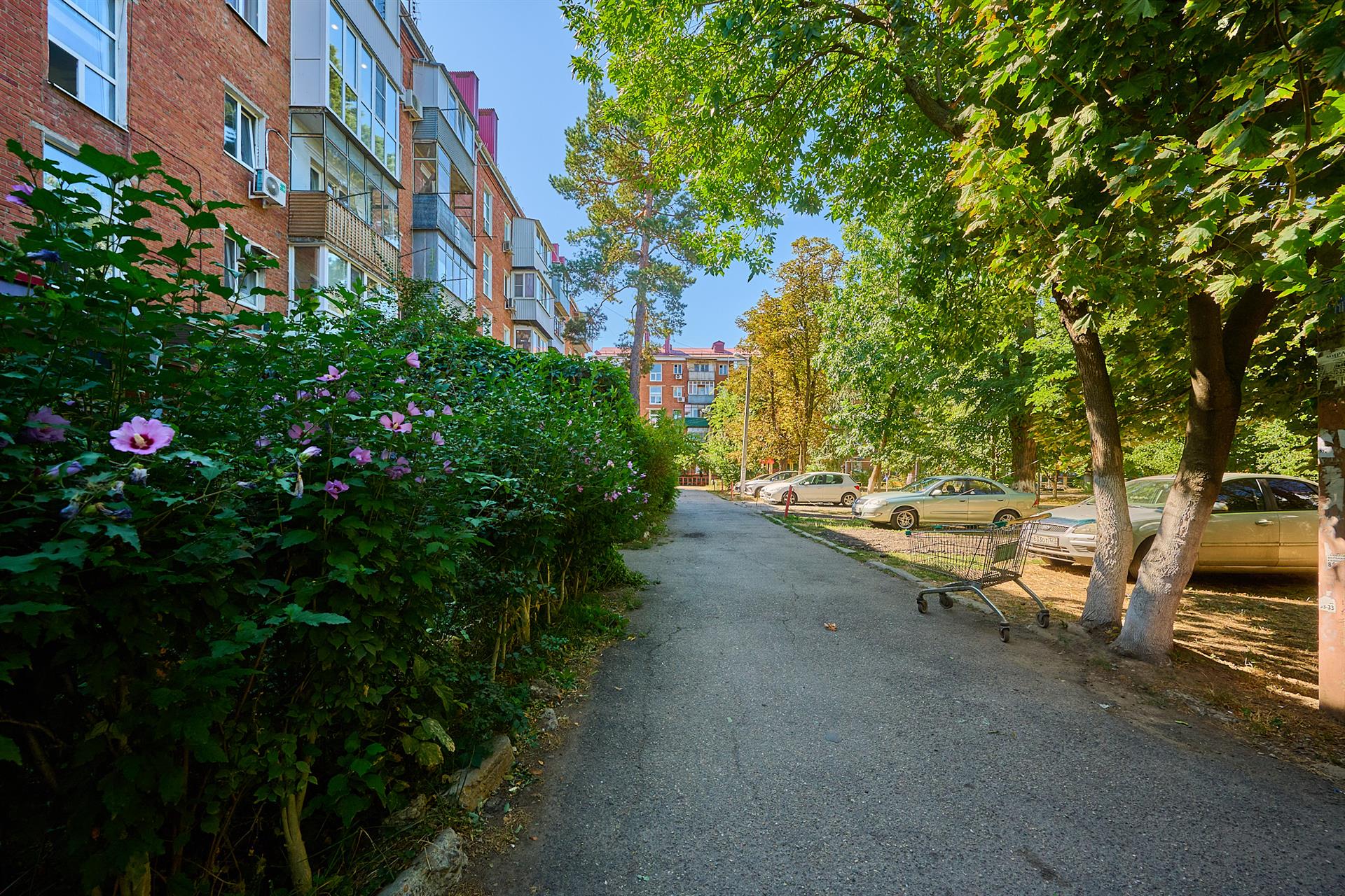 Фото №19: 2-комнатная квартира 45 м² - Краснодар, Центральный внутригородской округ, мкр. Черёмушки, ул. Бургасская, 63