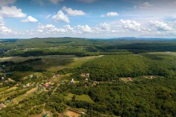 Фото №1: Земельный участок 4 сот. - СНТ Победа, ул. Грибная