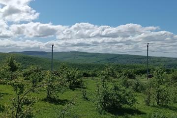 Фото №2: Земельный участок 4 сот. - СНТ Победа, ул. Грибная