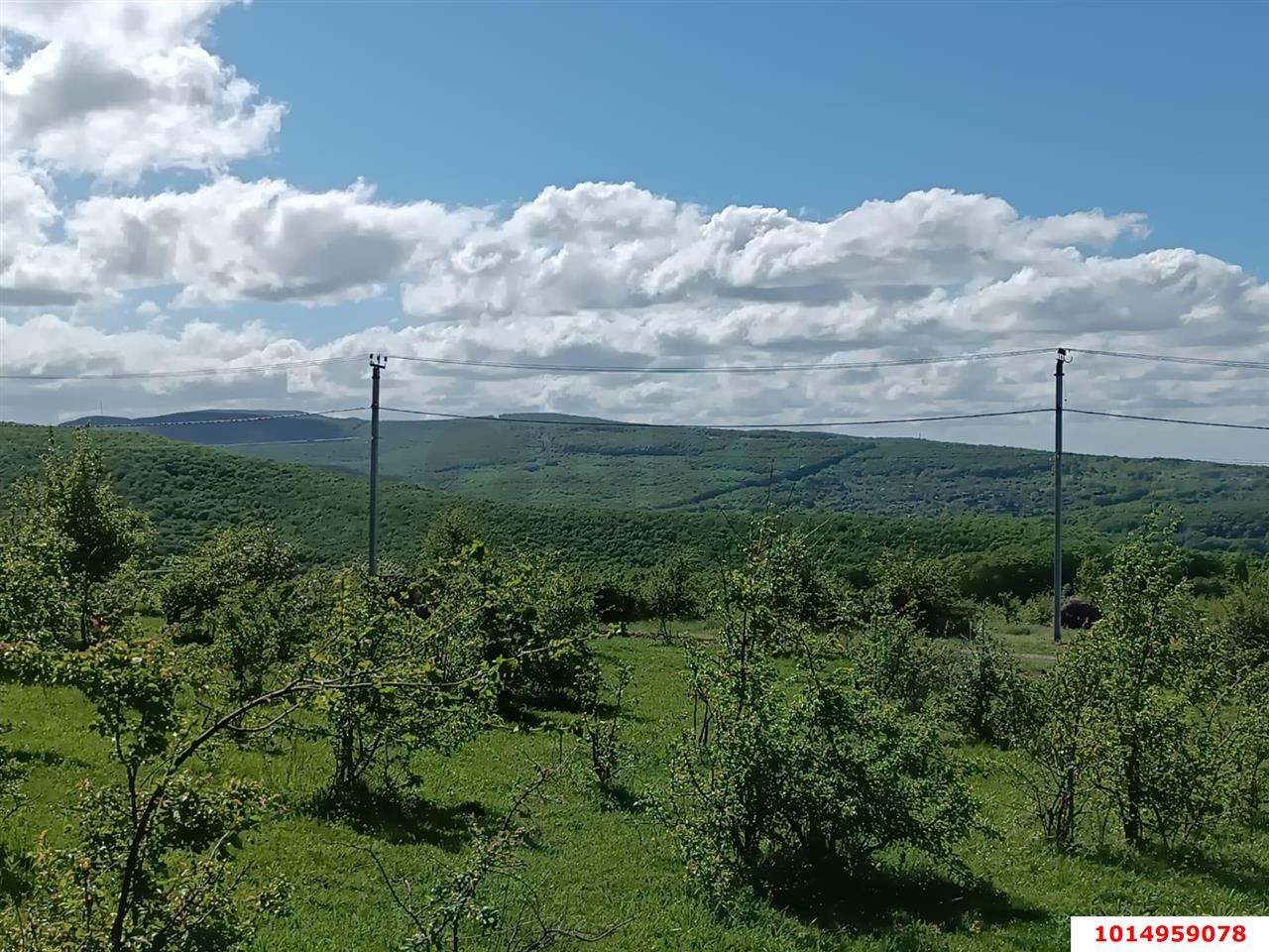 Фото №2: Земельный участок 4 сот. - СНТ Победа, ул. Грибная