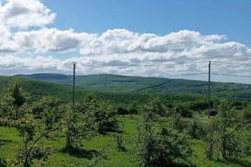 Фото №5: Земельный участок 4 сот. - СНТ Победа, ул. Грибная