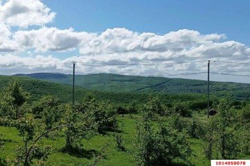 Фото №5: Участок садоводство 4 сот. - СНТ Победа, ул. Грибная