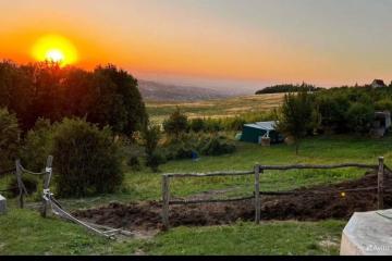 Фото №3: Земельный участок 4 сот. - СНТ Победа, ул. Грибная