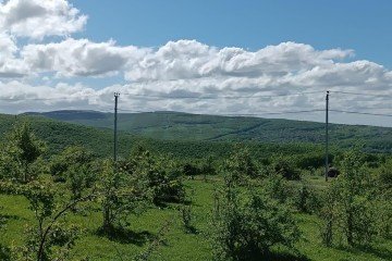 Фото №2: Участок садоводство 4 сот. - СНТ Победа, ул. Грибная