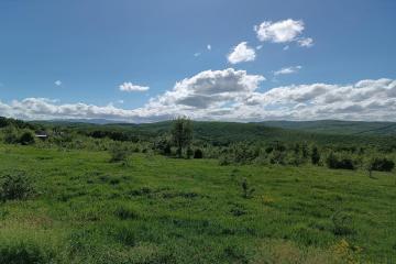 Фото №4: Земельный участок 4 сот. - СНТ Победа, ул. Грибная