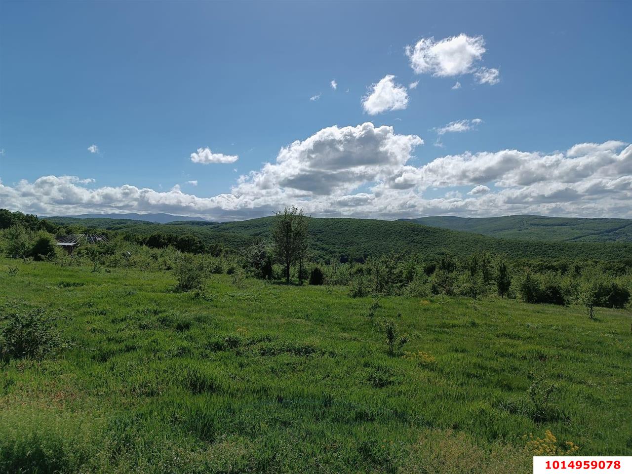 Фото №4: Участок садоводство 4 сот. - СНТ Победа, ул. Грибная